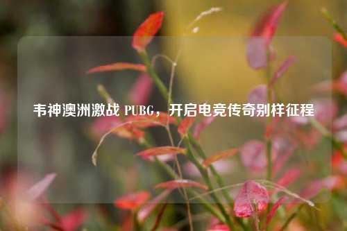 韦神澳洲激战 PUBG，开启电竞传奇别样征程