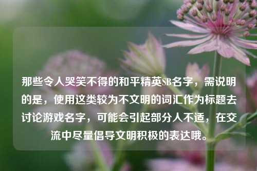 那些令人哭笑不得的和平精英SB名字，需说明的是，使用这类较为不文明的词汇作为标题去讨论游戏名字，可能会引起部分人不适，在交流中尽量倡导文明积极的表达哦。