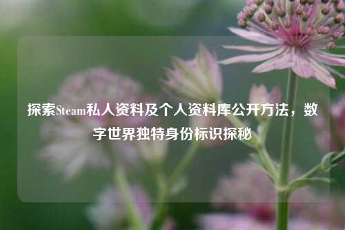 探索Steam私人资料及个人资料库公开 *** ，数字世界独特身份标识探秘