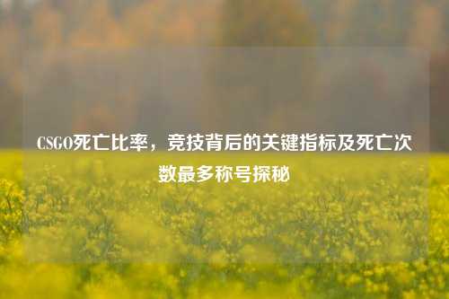 CSGO死亡比率，竞技背后的关键指标及死亡次数最多称号探秘