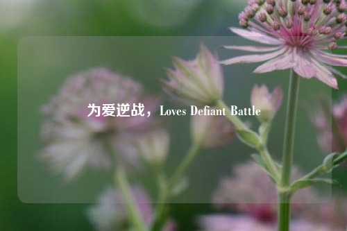 为爱逆战，Loves Defiant Battle