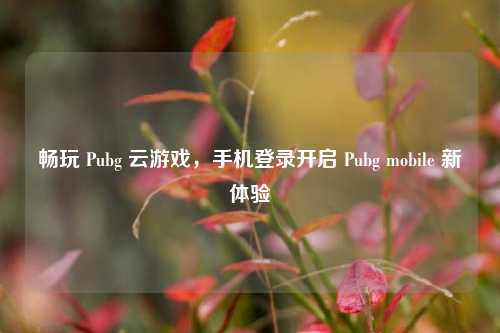 畅玩 Pubg 云游戏，手机登录开启 Pubg mobile 新体验