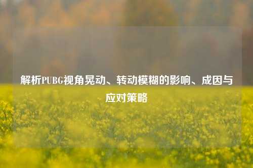 解析PUBG视角晃动、转动模糊的影响、成因与应对策略