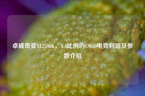 卓威奇亚XL2546K，4:3比例的CSGO电竞利器及参数介绍