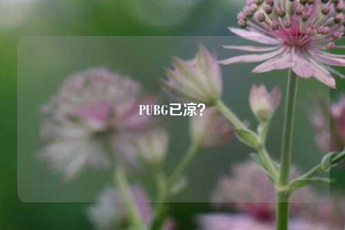 PUBG已凉？