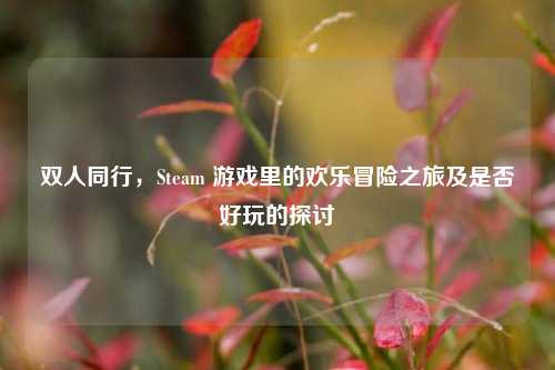 双人同行，Steam 游戏里的欢乐冒险之旅及是否好玩的探讨