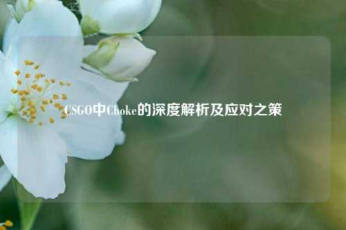 CSGO中Choke的深度解析及应对之策