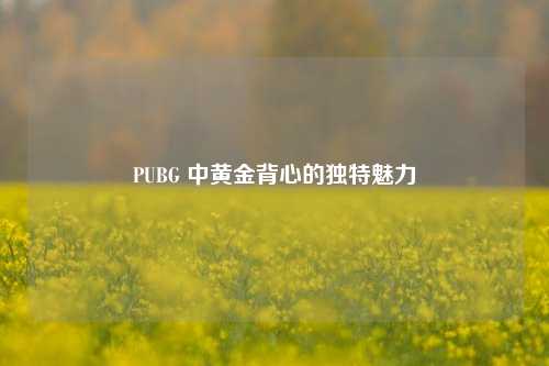 PUBG 中黄金背心的独特魅力