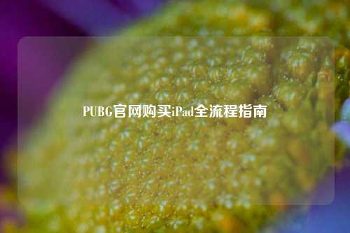 PUBG官 *** 买iPad全流程指南