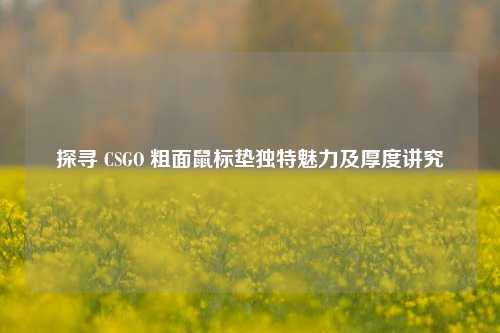探寻 CSGO 粗面鼠标垫独特魅力及厚度讲究
