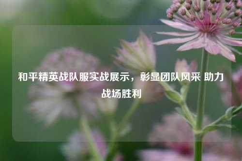 和平精英战队服实战展示，彰显团队风采 助力战场胜利
