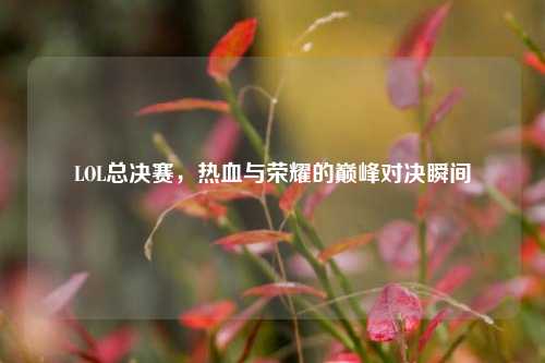 LOL总决赛，热血与荣耀的巅峰对决瞬间