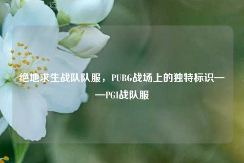绝地求生战队队服，PUBG战场上的独特标识——PGI战队服