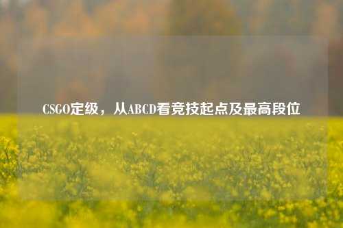 CSGO定级，从ABCD看竞技起点及更高段位