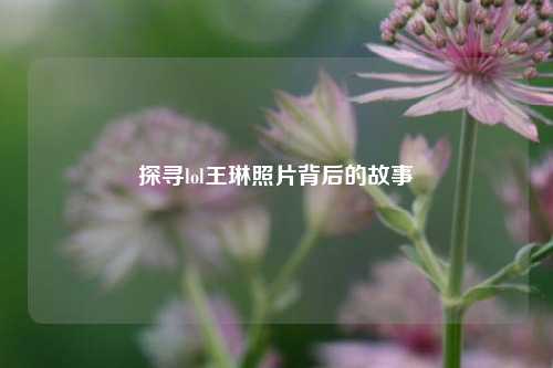 探寻lol王琳照片背后的故事