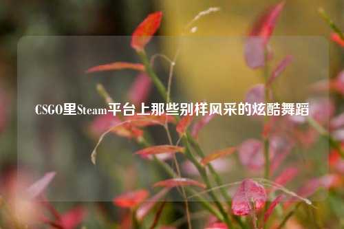CSGO里Steam平台上那些别样风采的炫酷舞蹈