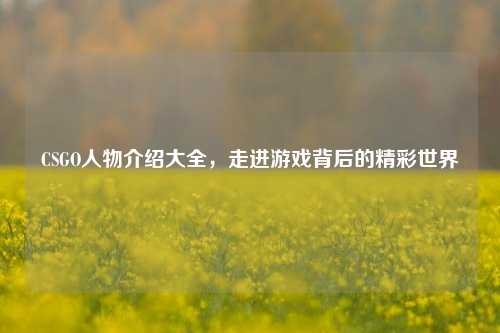 CSGO人物介绍大全，走进游戏背后的精彩世界