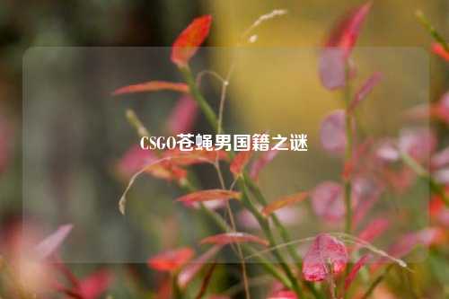 CSGO苍蝇男国籍之谜