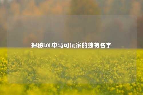 探秘LOL中马可玩家的独特名字