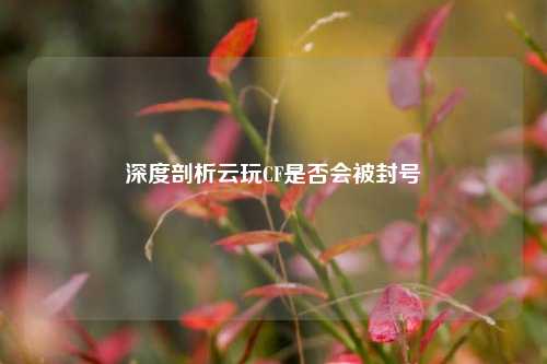 深度剖析云玩CF是否会被封号