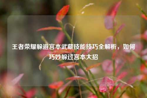 王者荣耀躲避宫本武藏技能技巧全解析，如何巧妙躲过宫本大招