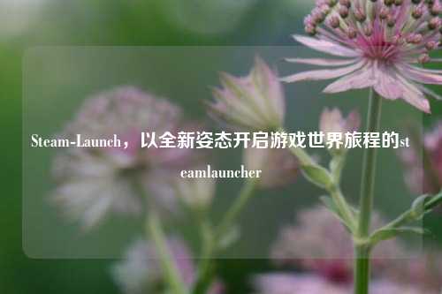 Steam-Launch，以全新姿态开启游戏世界旅程的steamlauncher