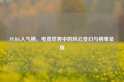 PUBG人气榜，电竞世界中的风云变幻与榜单呈现