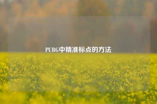 PUBG中精准标点的 *** 