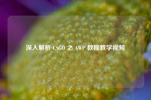 深入解析 CSGO 之 AWP 教程教学视频