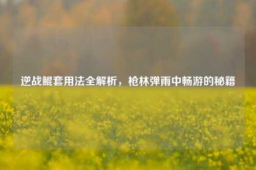 逆战鲲套用法全解析，枪林弹雨中畅游的秘籍