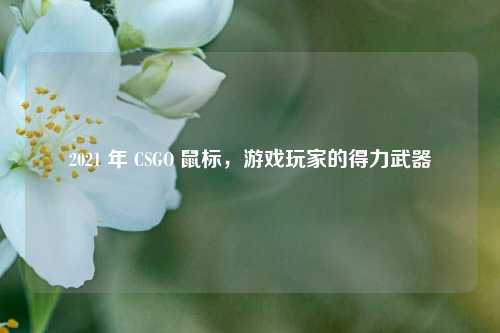 2021 年 CSGO 鼠标，游戏玩家的得力武器