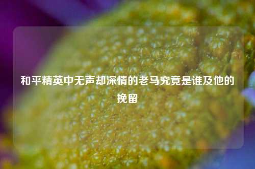 和平精英中无声却深情的老马究竟是谁及他的挽留