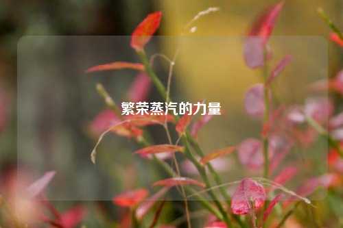 繁荣蒸汽的力量