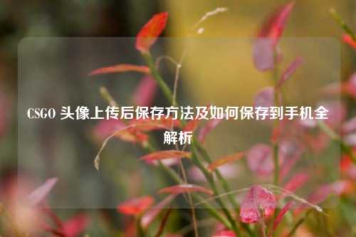CSGO 头像上传后保存 *** 及如何保存到手机全解析
