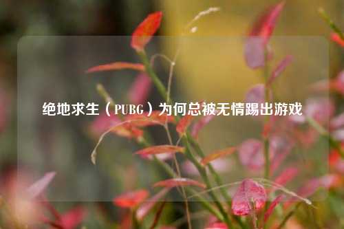 绝地求生（PUBG）为何总被无情踢出游戏
