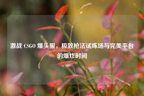 激战 CSGO 爆头服，极致枪法试炼场与完美平台的爆炸时间