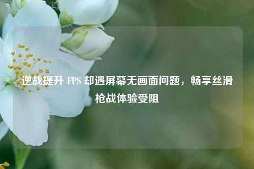 逆战提升 FPS 却遇屏幕无画面问题，畅享丝滑枪战体验受阻