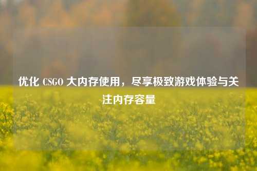 优化 CSGO 大内存使用，尽享极致游戏体验与关注内存容量