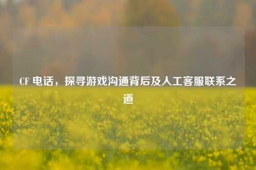 CF  *** ，探寻游戏沟通背后及人工 *** 联系之道