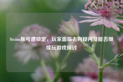Steam账号遭锁定，玩家面临去向疑问及能否继续玩游戏探讨