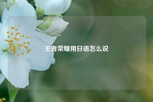 王者荣耀用日语怎么说