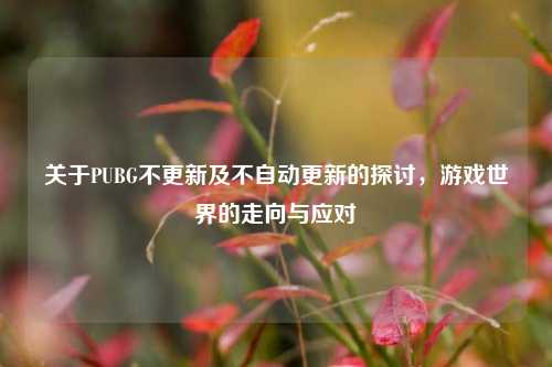 关于PUBG不更新及不自动更新的探讨，游戏世界的走向与应对