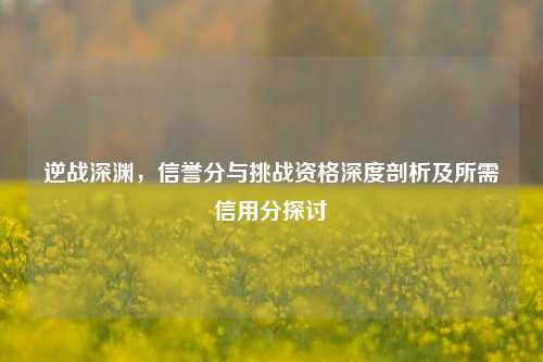 逆战深渊，信誉分与挑战资格深度剖析及所需信用分探讨