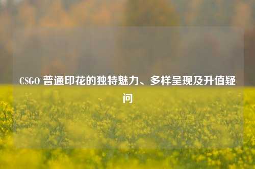 CSGO 普通印花的独特魅力、多样呈现及升值疑问