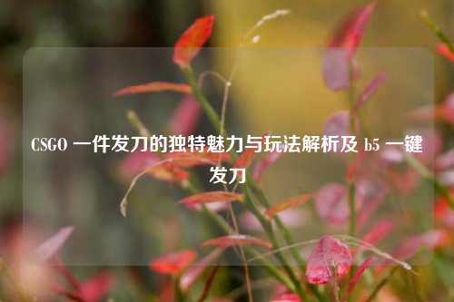 CSGO 一件发刀的独特魅力与玩法解析及 b5 一键发刀