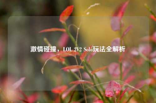  *** 碰撞，LOL 2V2 Solo玩法全解析