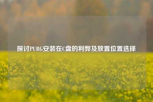 探讨PUBG安装在C盘的利弊及放置位置选择