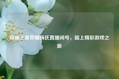 探秘王者荣耀嗨氏直播间号，踏上精彩游戏之旅