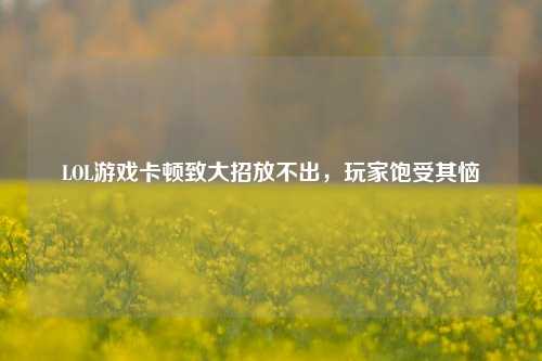 LOL游戏卡顿致大招放不出，玩家饱受其恼