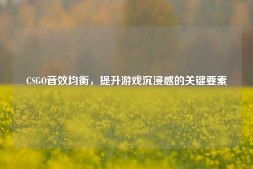 CSGO音效均衡，提升游戏沉浸感的关键要素